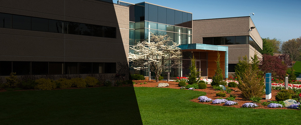 Bluffton Landscapers