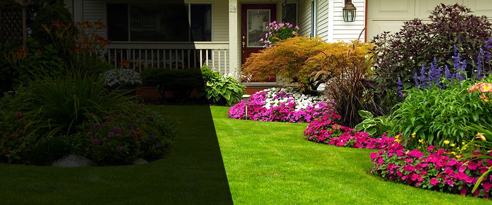 Bluffton Landscapers