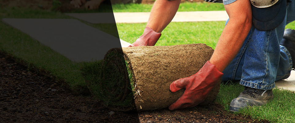Bluffton Landscapers